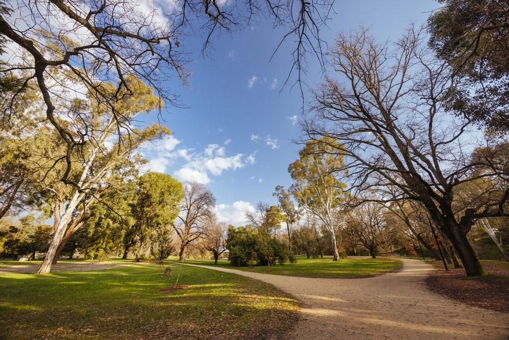 image3.jpg Castlemaine