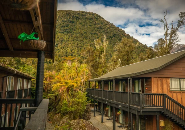 Large Cabin surrounded by bush