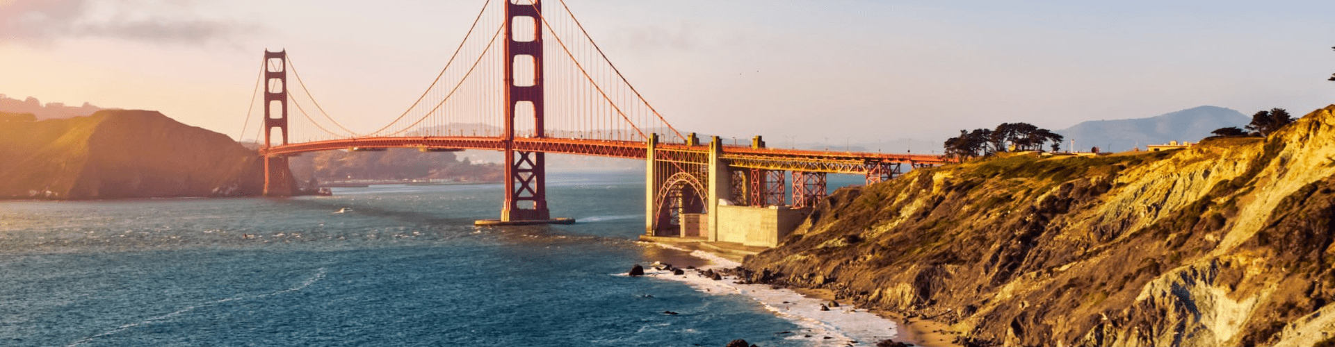 Winter Birds Pack Vans California Birds Blue Yellow Macaw Parrot