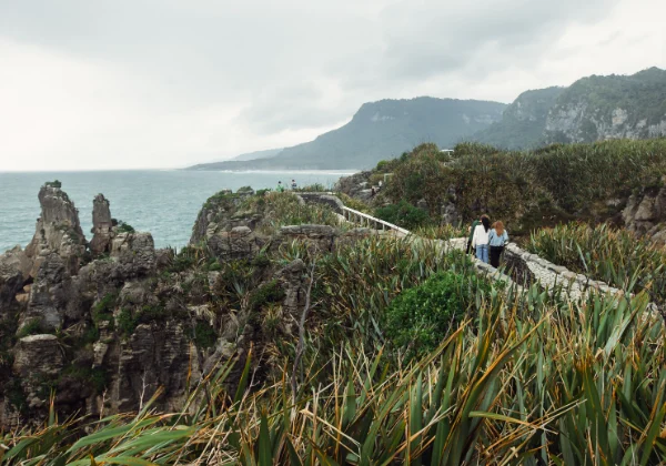 Walking track with bush and a lake
