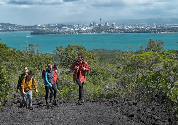 Hiking with a view of the harbour and Auckland ciy