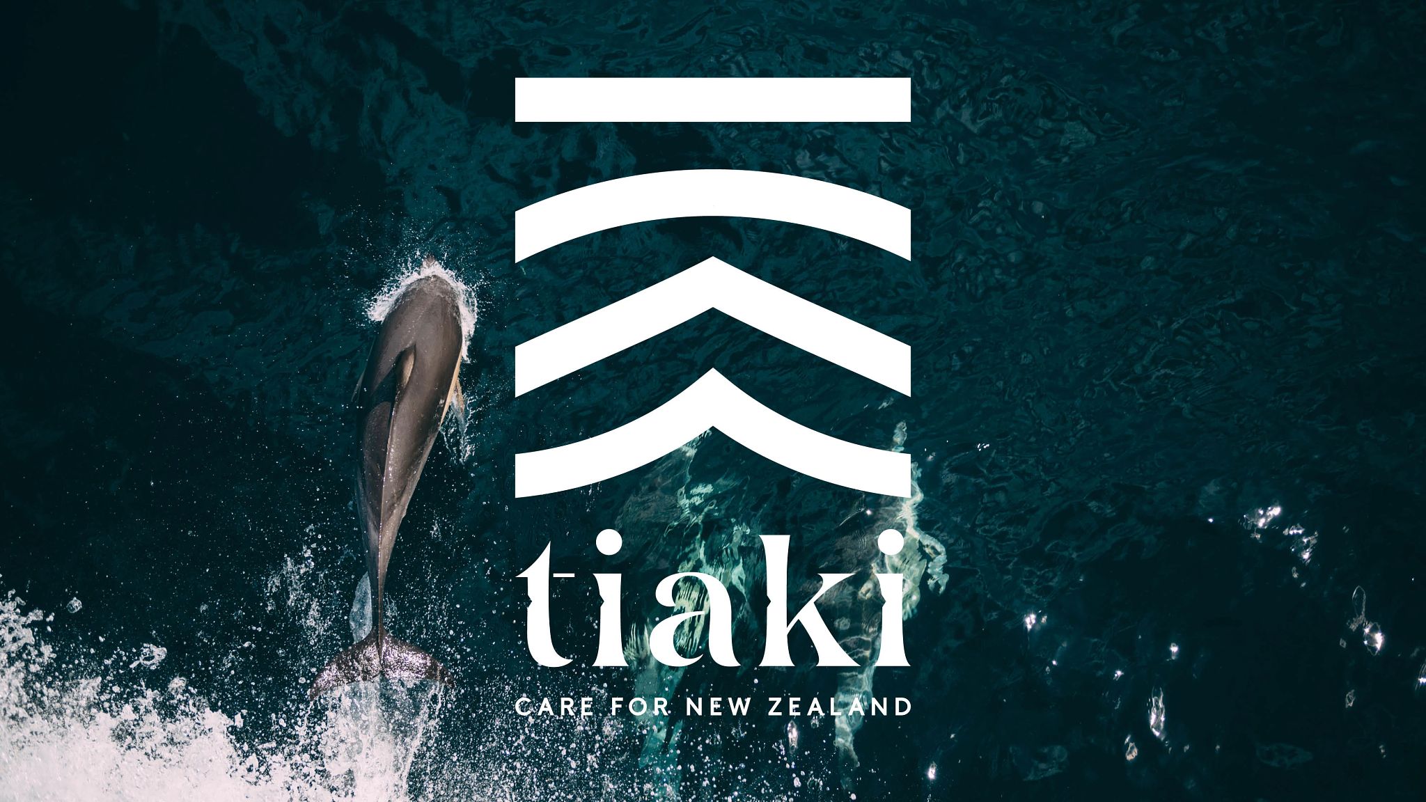 Tiaki-Promise-Tourism-New-Zealand-Banner.jpg