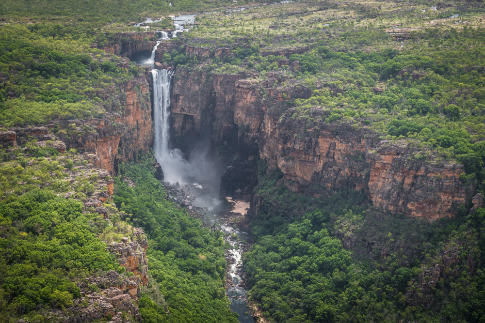image6.jpg image6.jpg