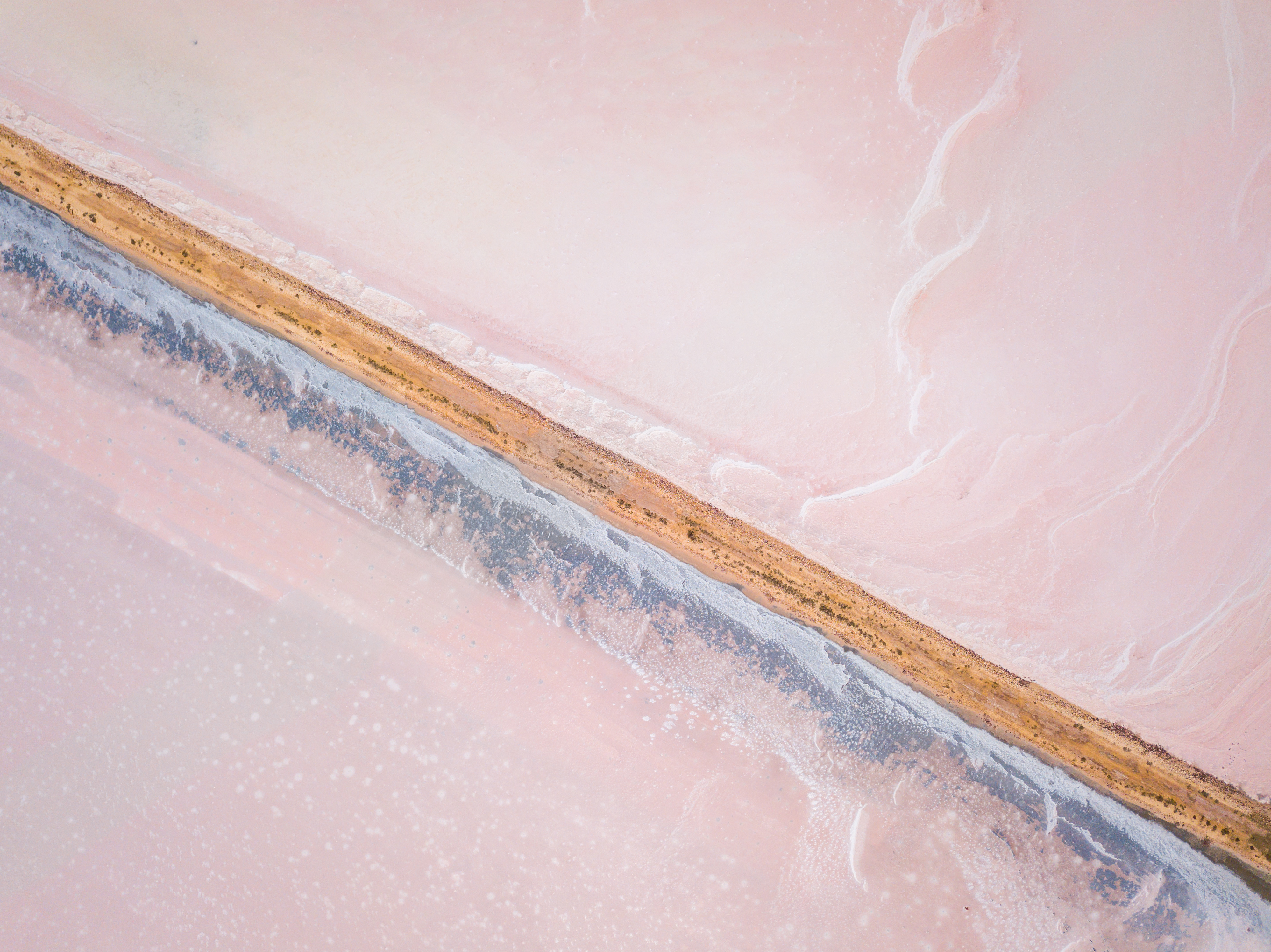 AdobeStock_286641944.jpeg AdobeStock_286641944.jpeg