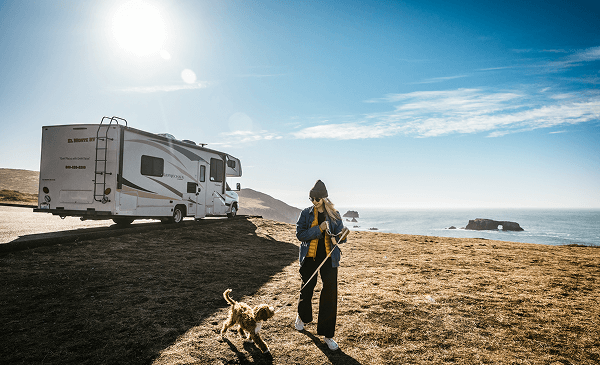 Traveling with Pets Across Borders