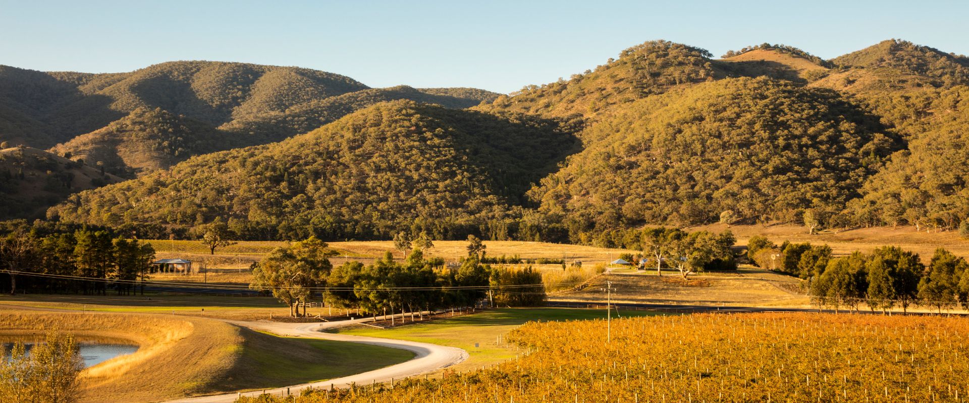 rolling hills