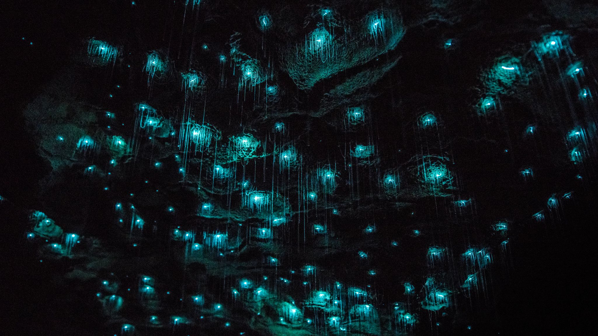 Waitomo-Glowworms-1617-Cave-5-(2).jpg Waitomo-Glowworms-1617-Cave-5-(2).jpg