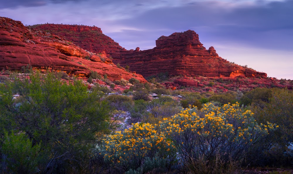 Adelaide to Alice Springs Road Trip | An Outback Itinerary