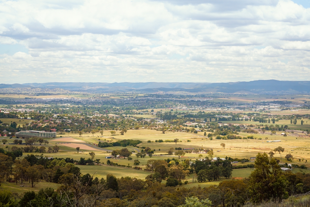 image6.jpg image6.jpg