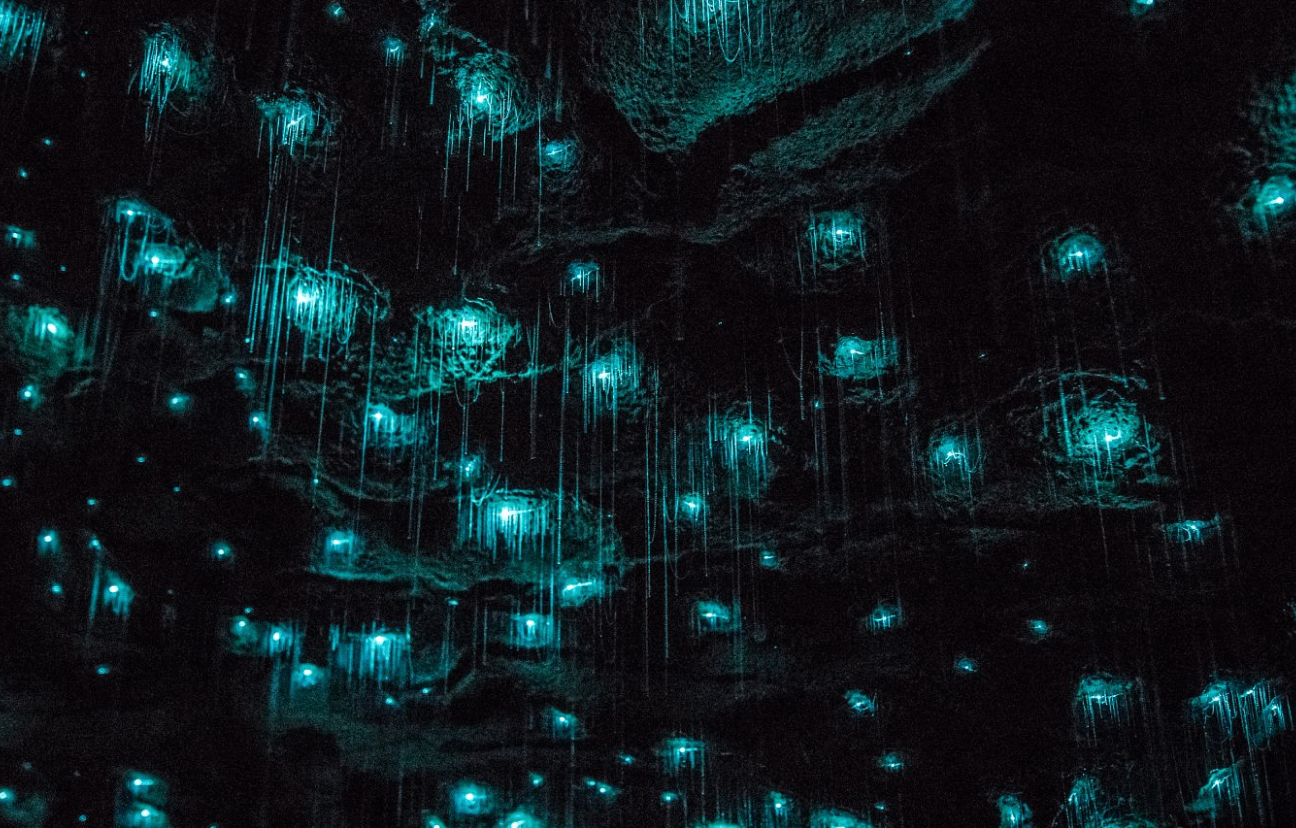 Glow cave