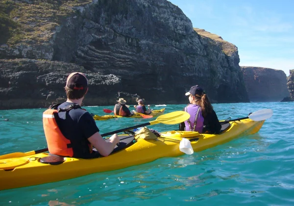 Kayakers looking at a cliff 