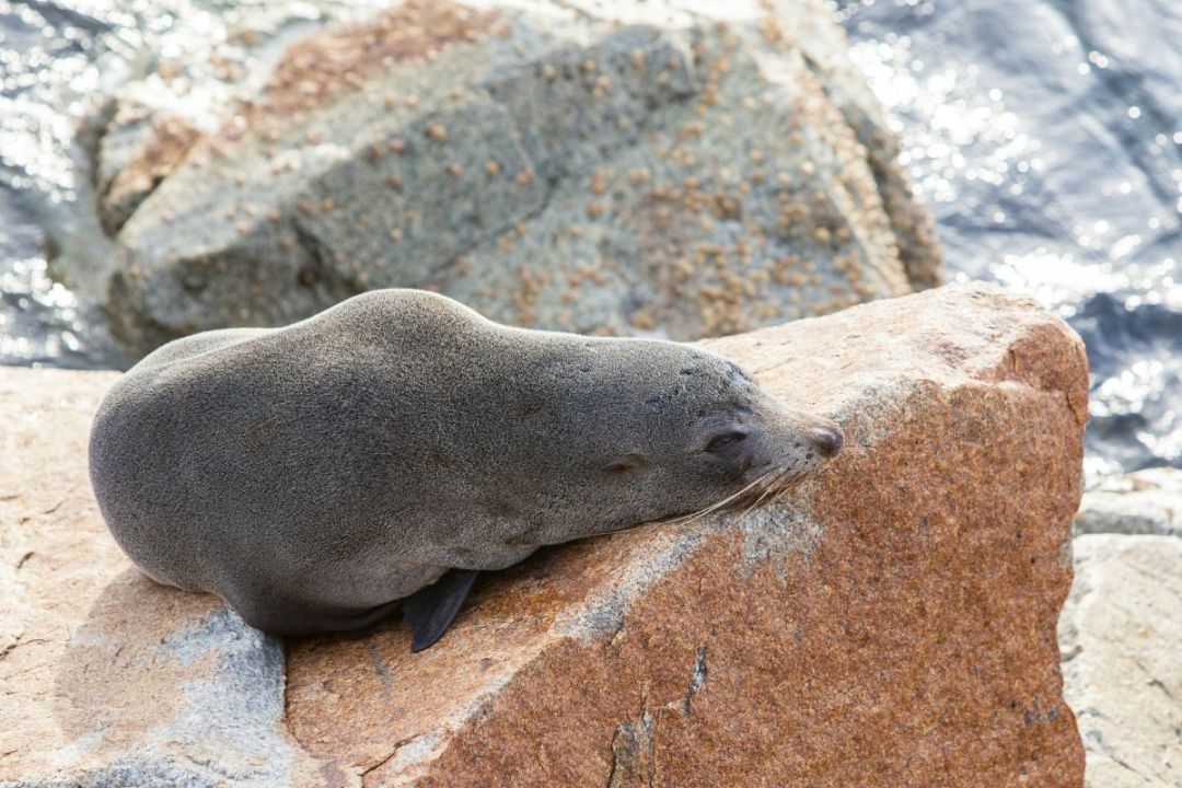 Top Things To Do In Batemans Bay | Activities & Attractions