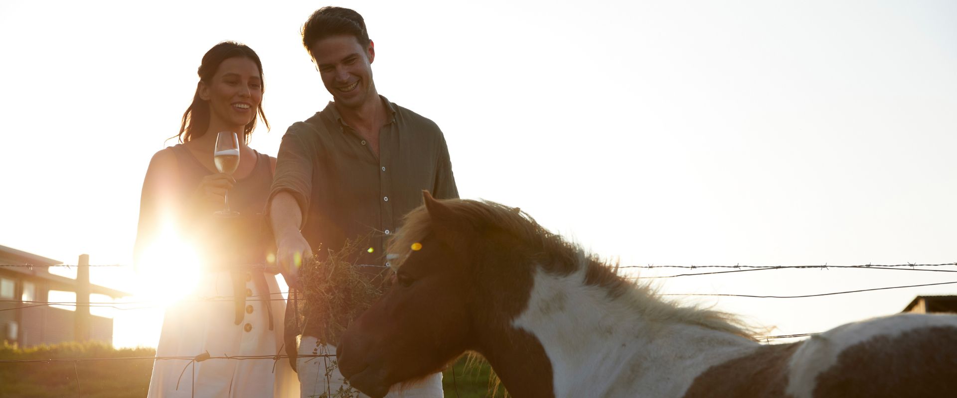 Couple patting a horse