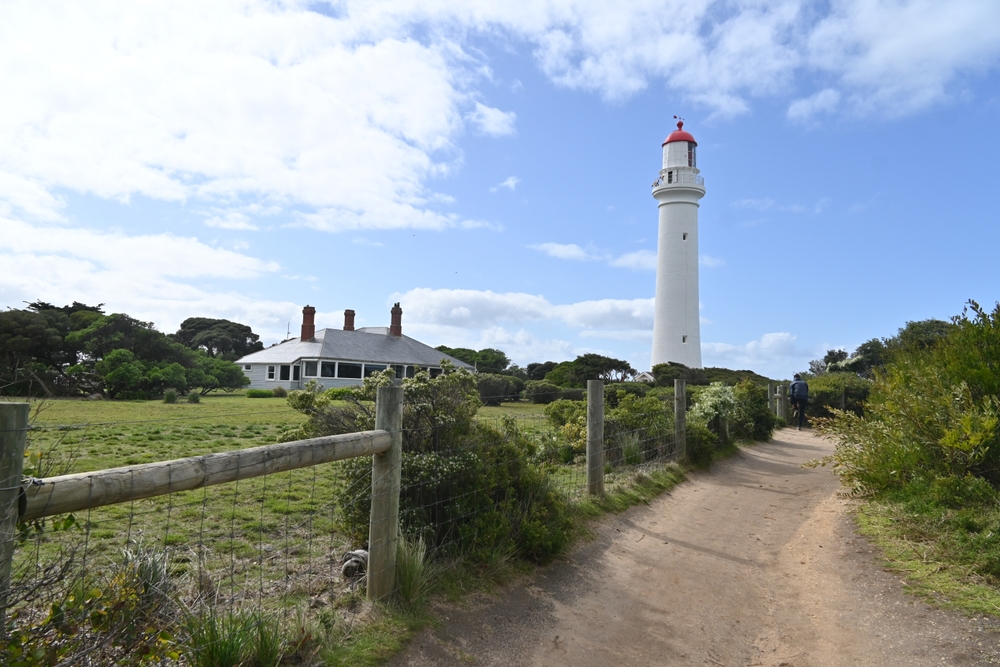 image4.jpg image4.jpg