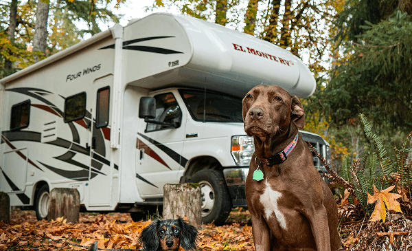 How Much Does It Cost to Rent an RV for Two Weeks? 