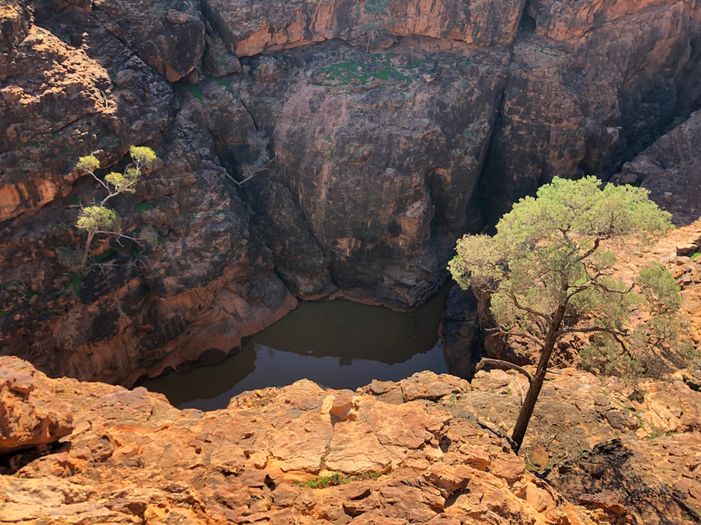 image7.jpg image7.jpg