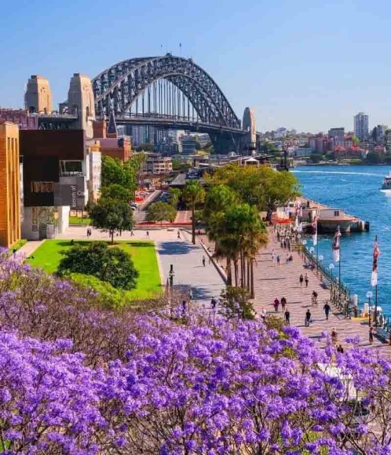 The ultimate 10-day road trip in NSW 