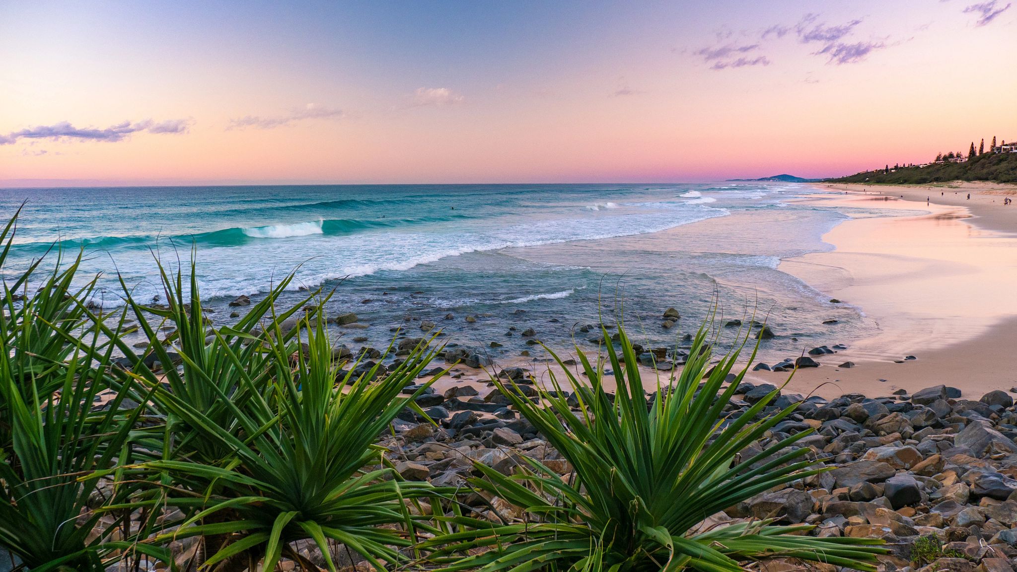 Noosa-Beach-(7).jpg