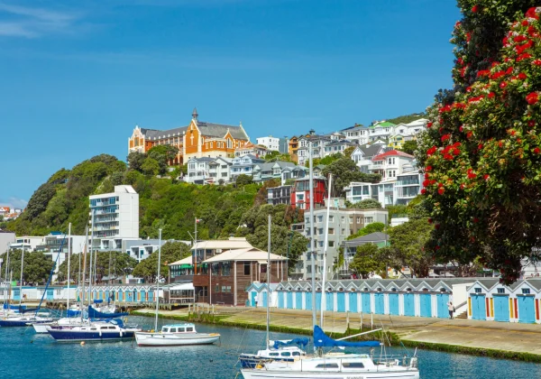 Wellington suburb by the sea