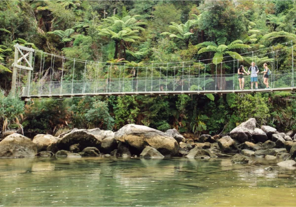 River with bridge crossing and forest in the background