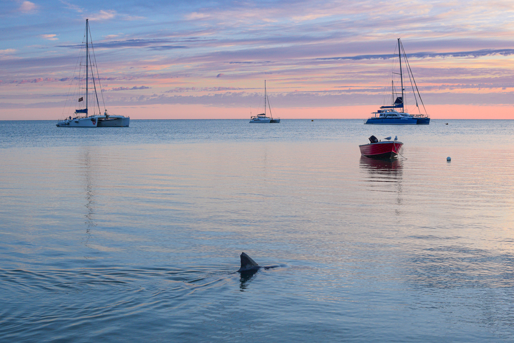 image5.jpg image5.jpg