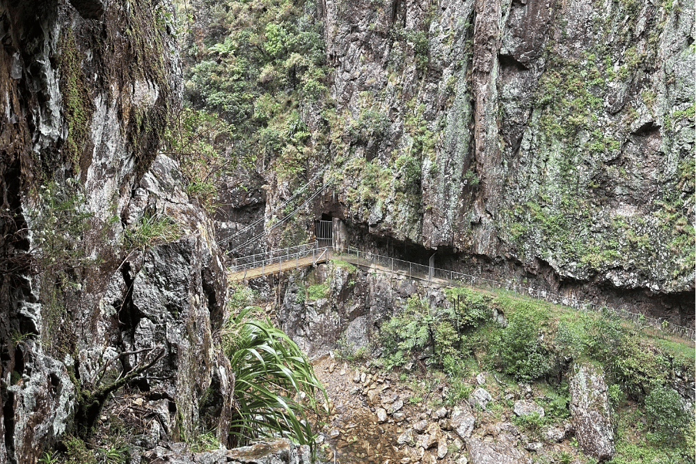 Gorge and stream surrounded with bush