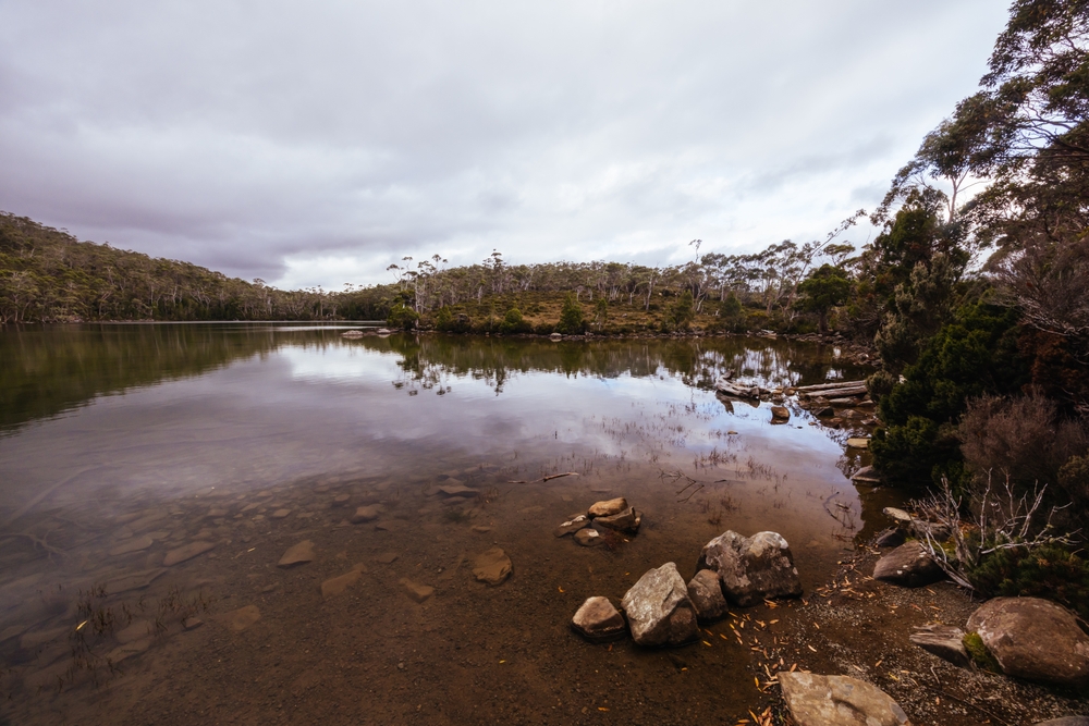 image8_2.jpg