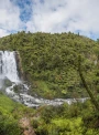 bannerImage