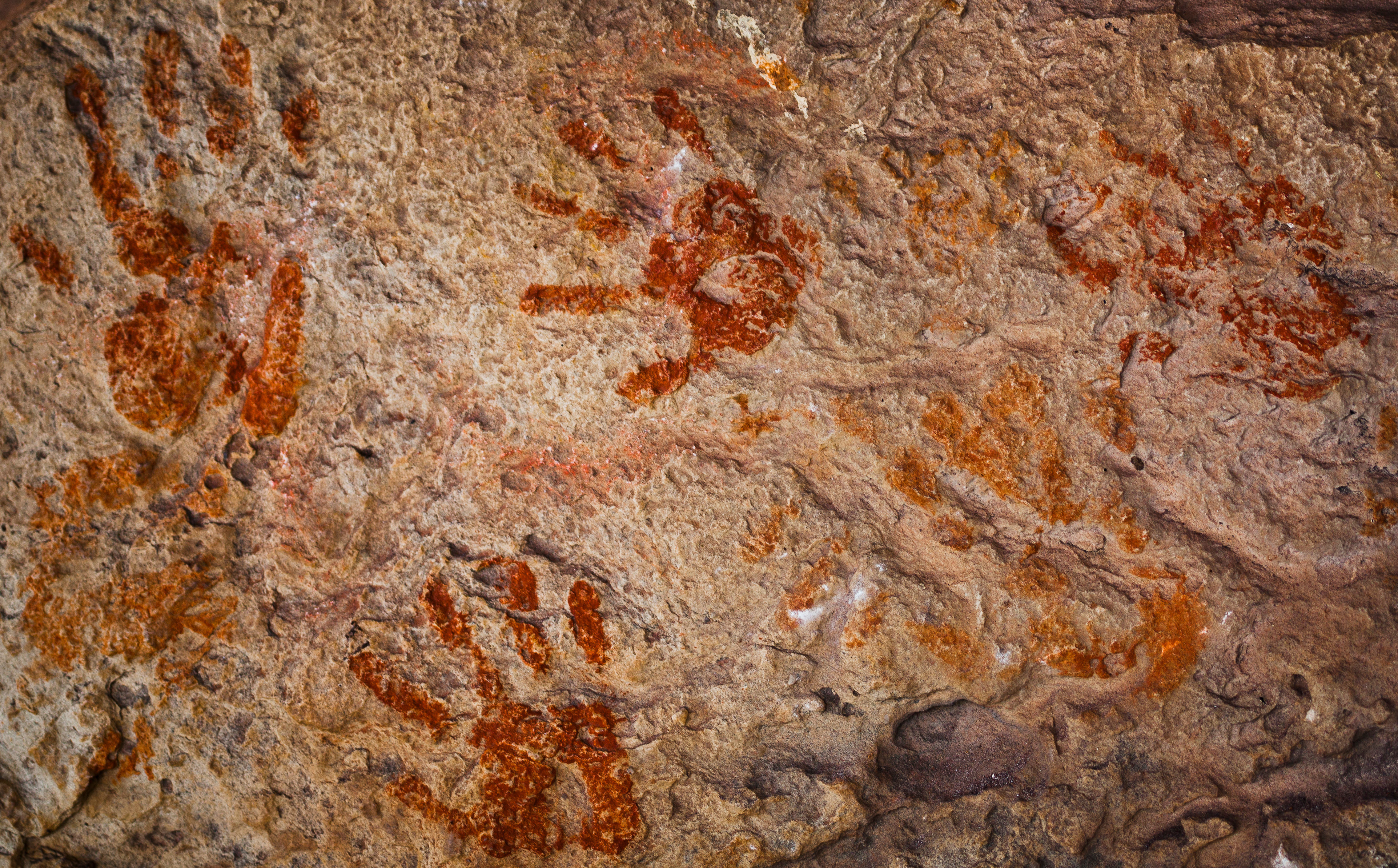 AdobeStock_370925384.jpeg AdobeStock_370925384.jpeg