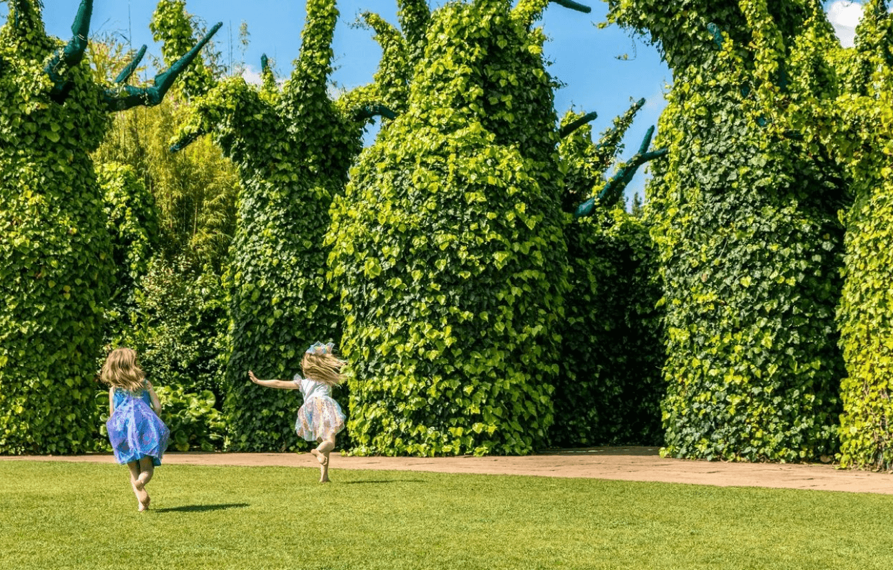 Children playing in the park