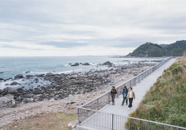 Coastline walk of some rugged east coast where Seals live