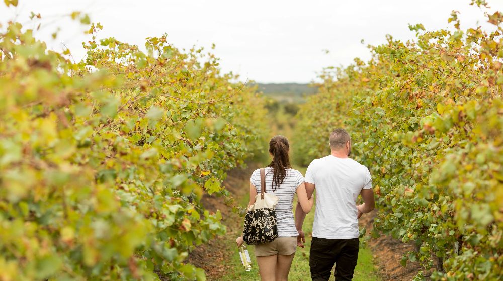 Winery