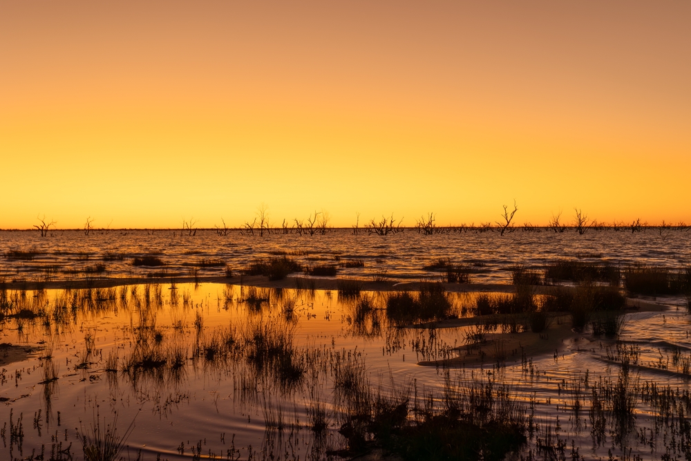 image10.jpg image10.jpg