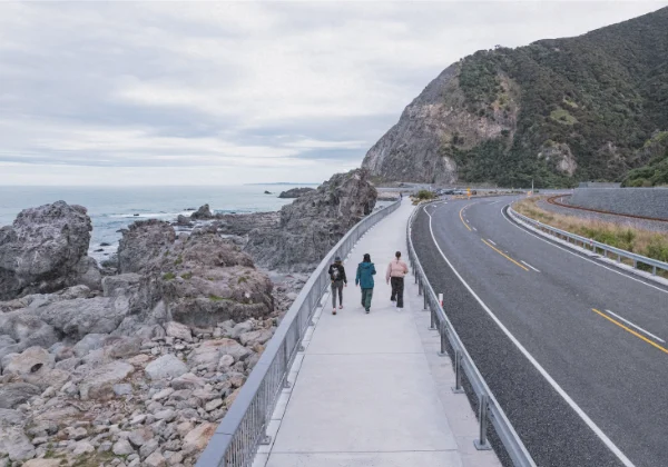 Walkway by rugged coastline