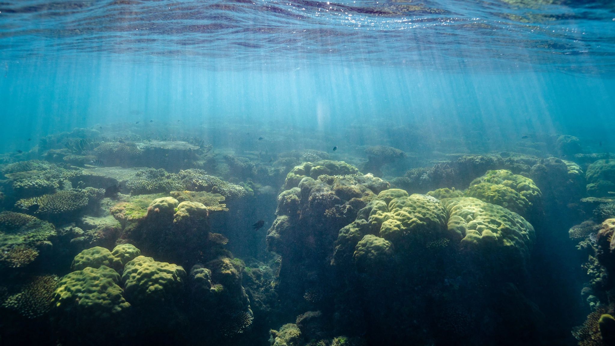 Ningaloo,-WA_Image3-(5).jpg