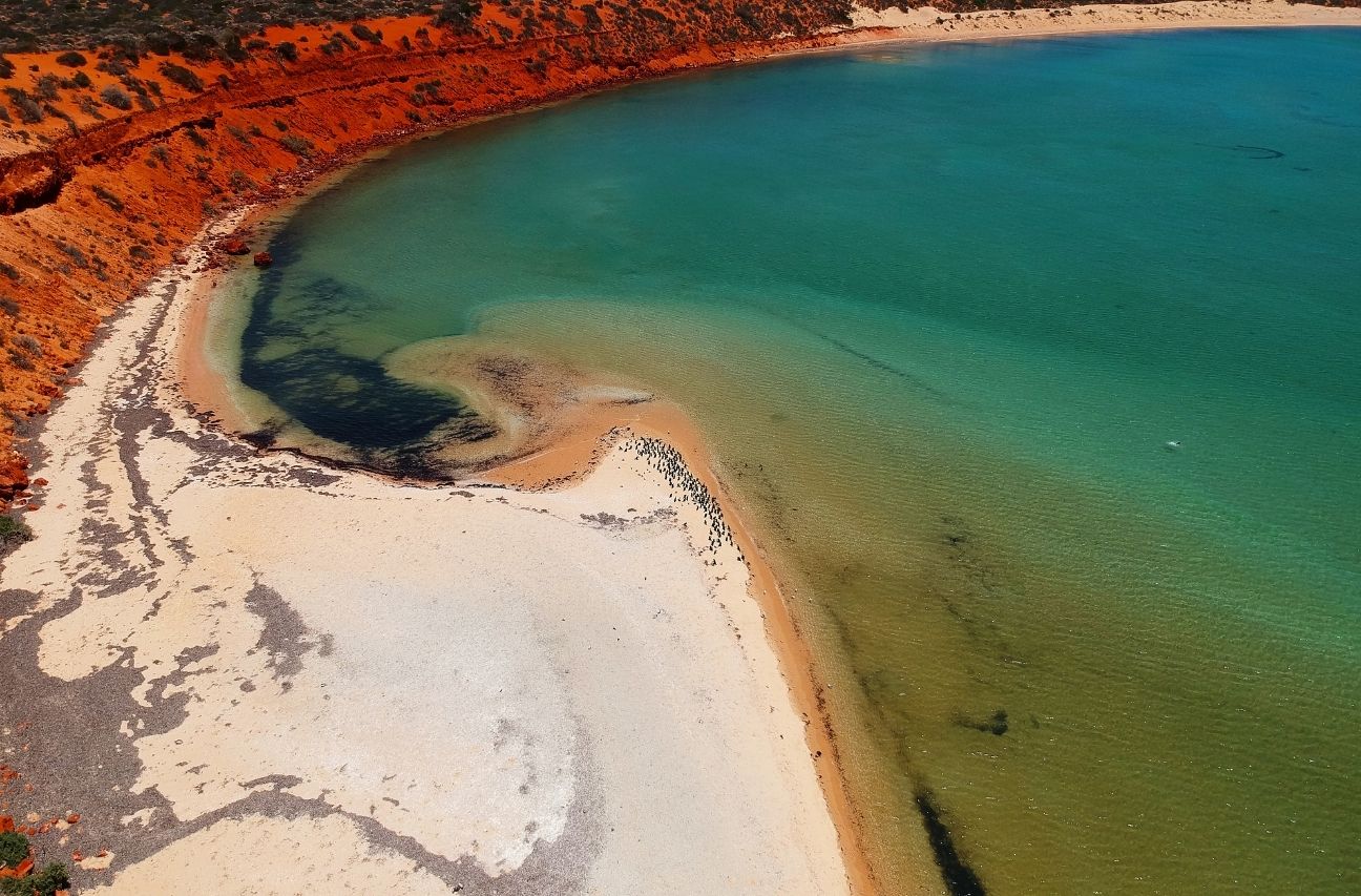 Perth to Shark Bay 