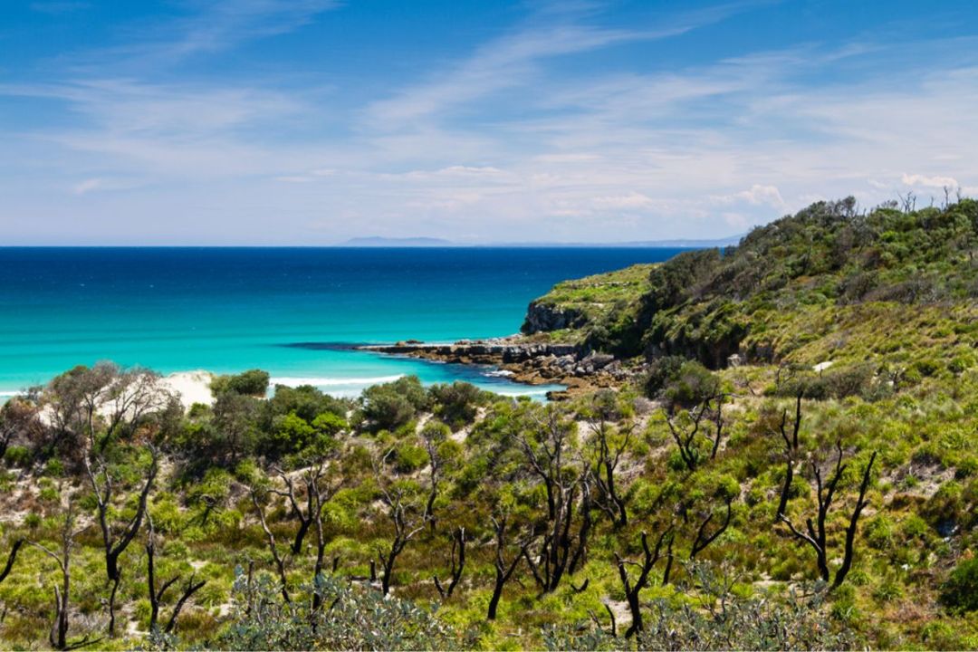 Sydney to Jervis Bay Road Trip |  4-Day Itinerary Guide