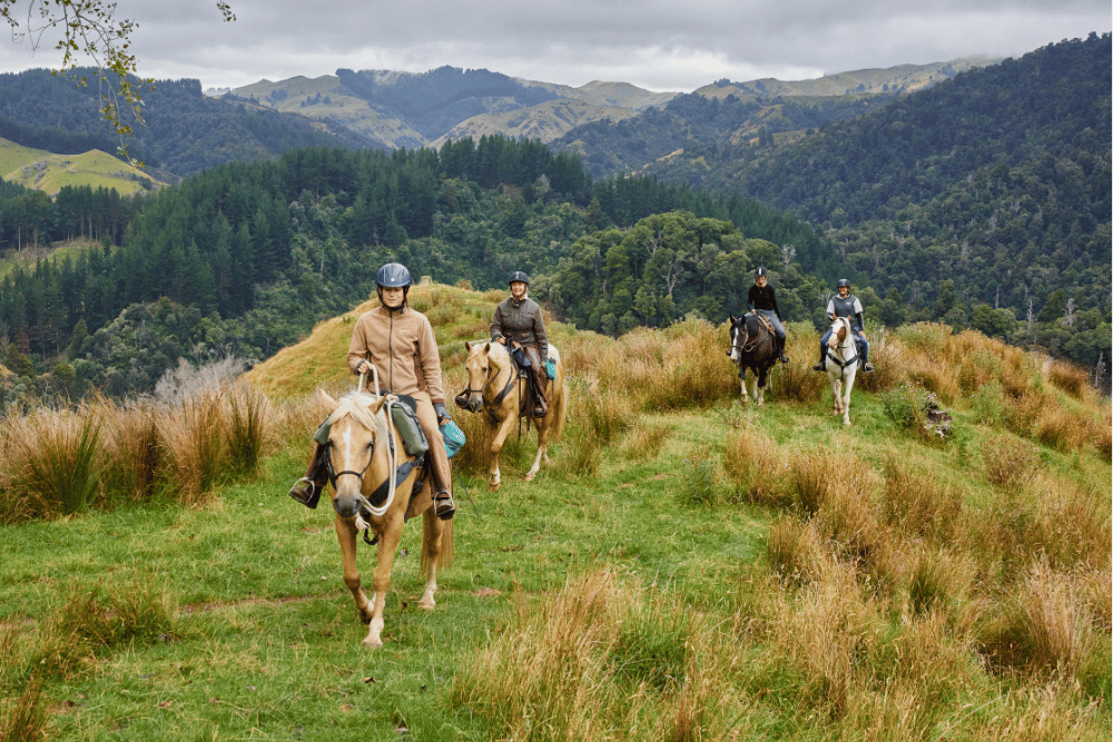 3 people on a horse trek