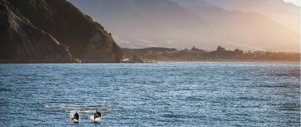 NZ.Rejuvenating 10-Day New Zealand Road Trip.Itinerary.Day2