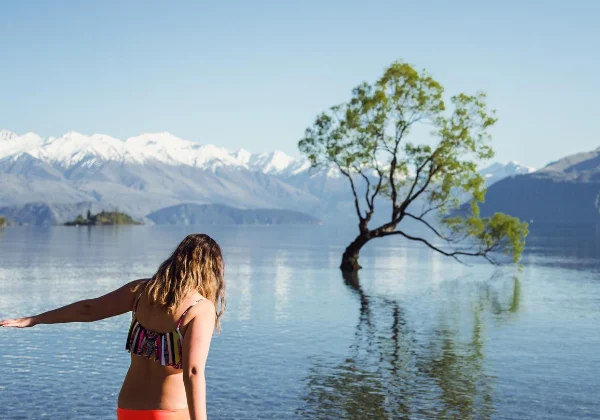 Woman looking at a tree grown from the middle of a lake with snowy mountains on the opposite side of the lake