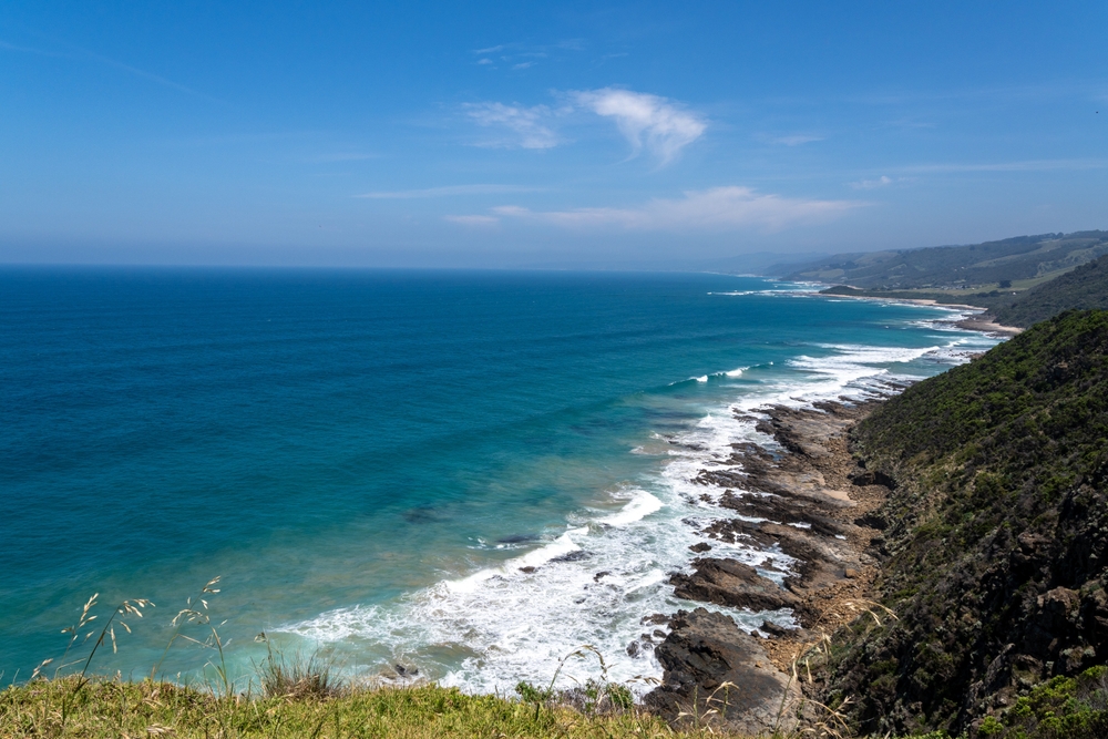 image6.jpg image6.jpg