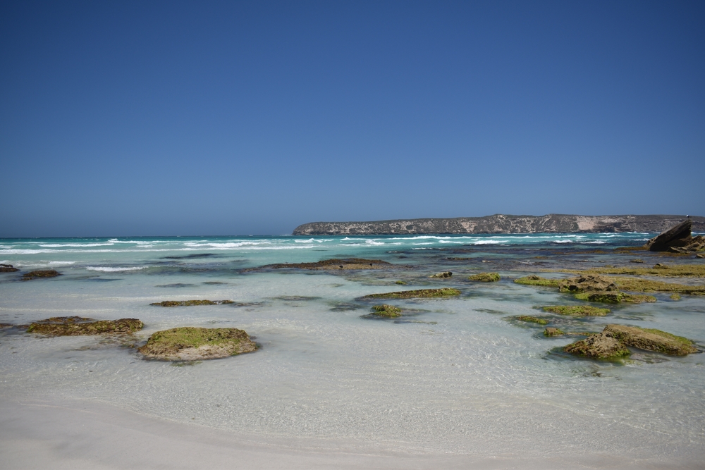 image5.jpg image5.jpg