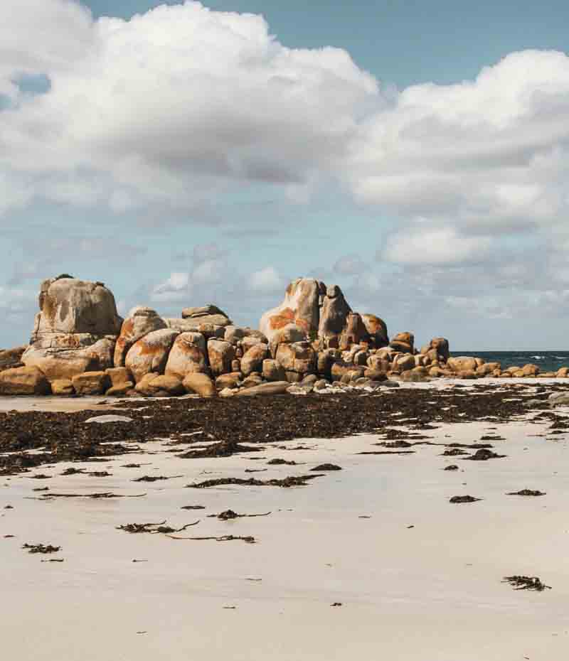 Tasmania