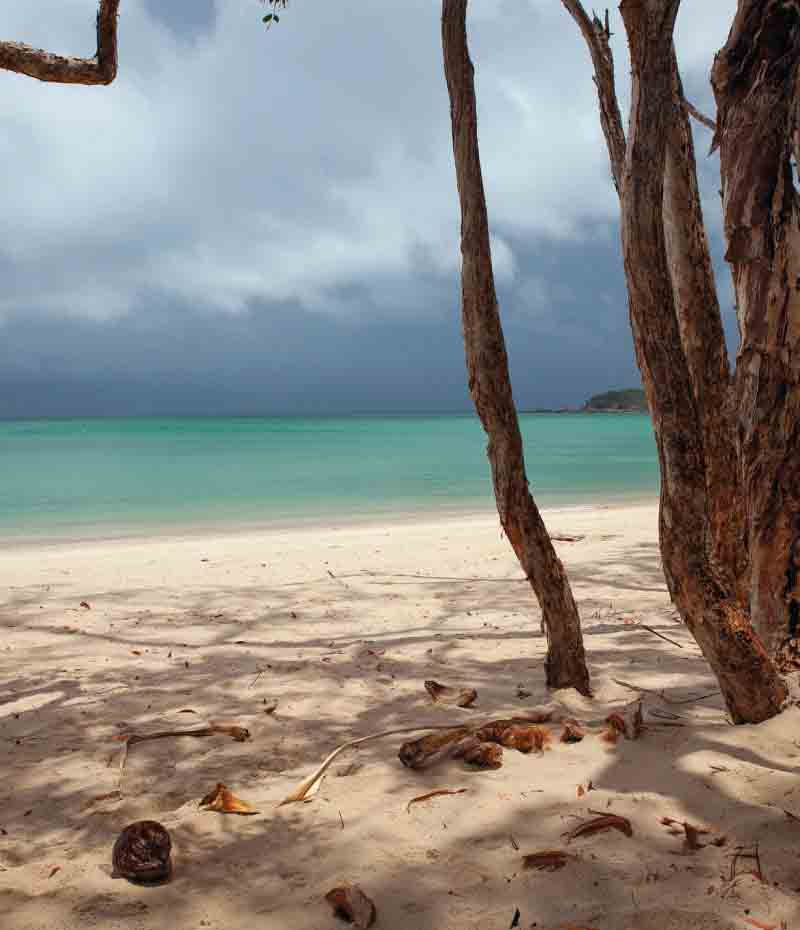 Budget-Friendly Cairns to Sydney Campervan Road Trip 