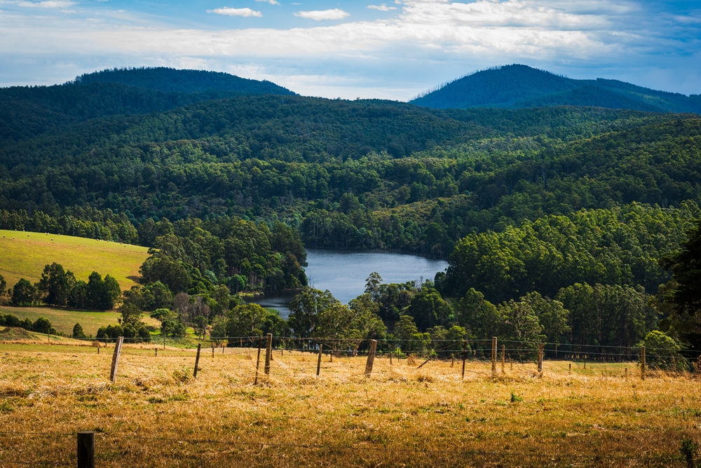 image2_3.jpg image2_3.jpg