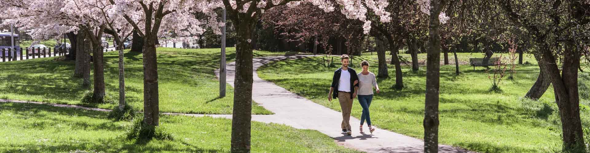 Walking