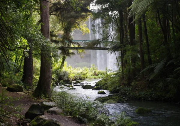 Forest with a bridge crossing a river, with a waterfall in the background