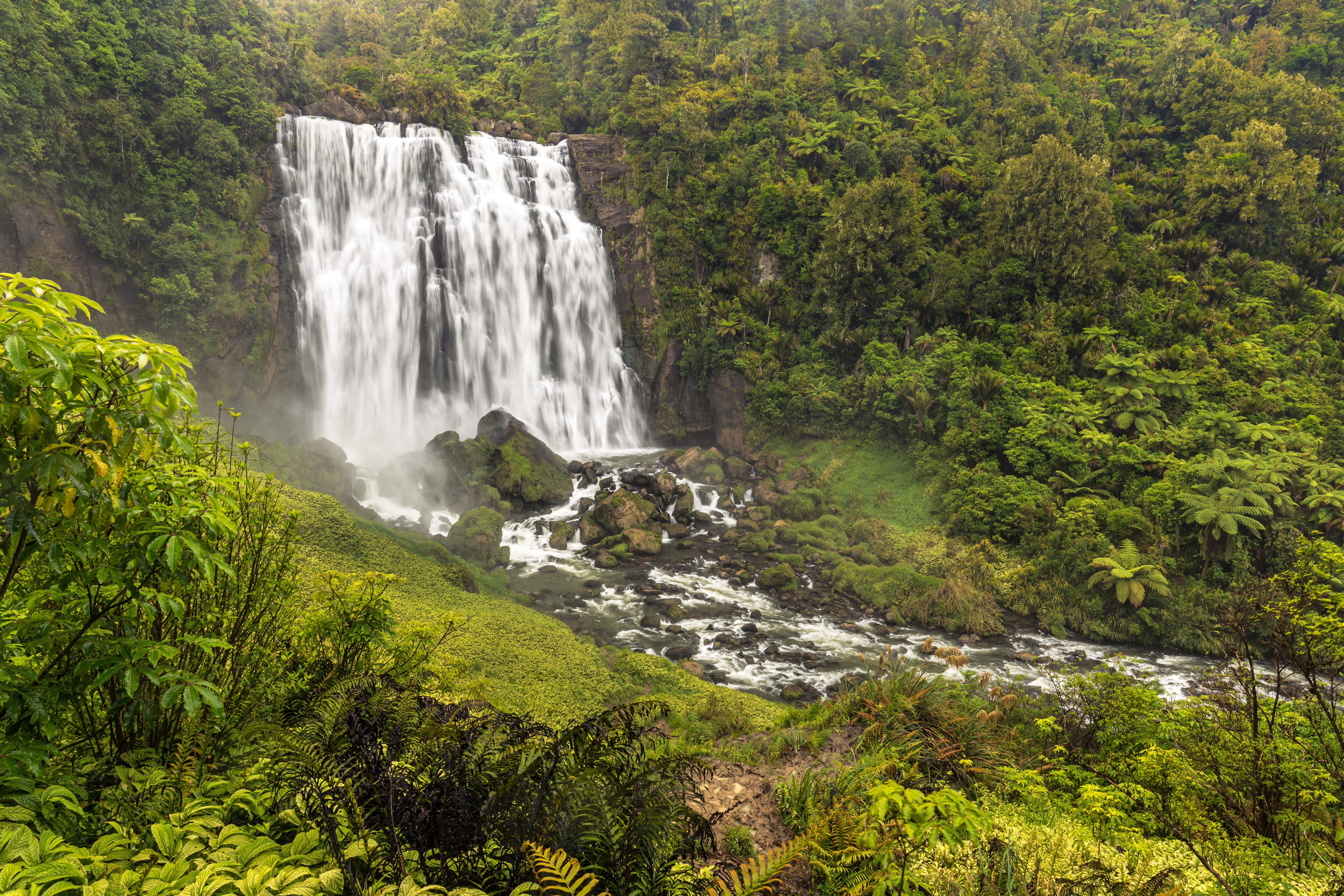 AdobeStock_404622505.jpeg AdobeStock_404622505.jpeg