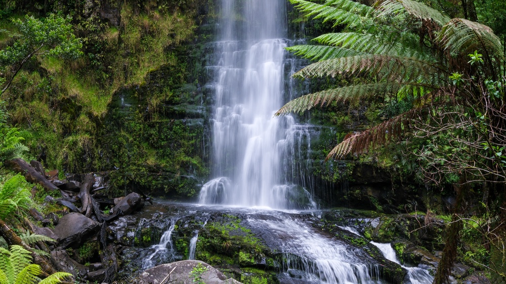 image4.jpg image4.jpg