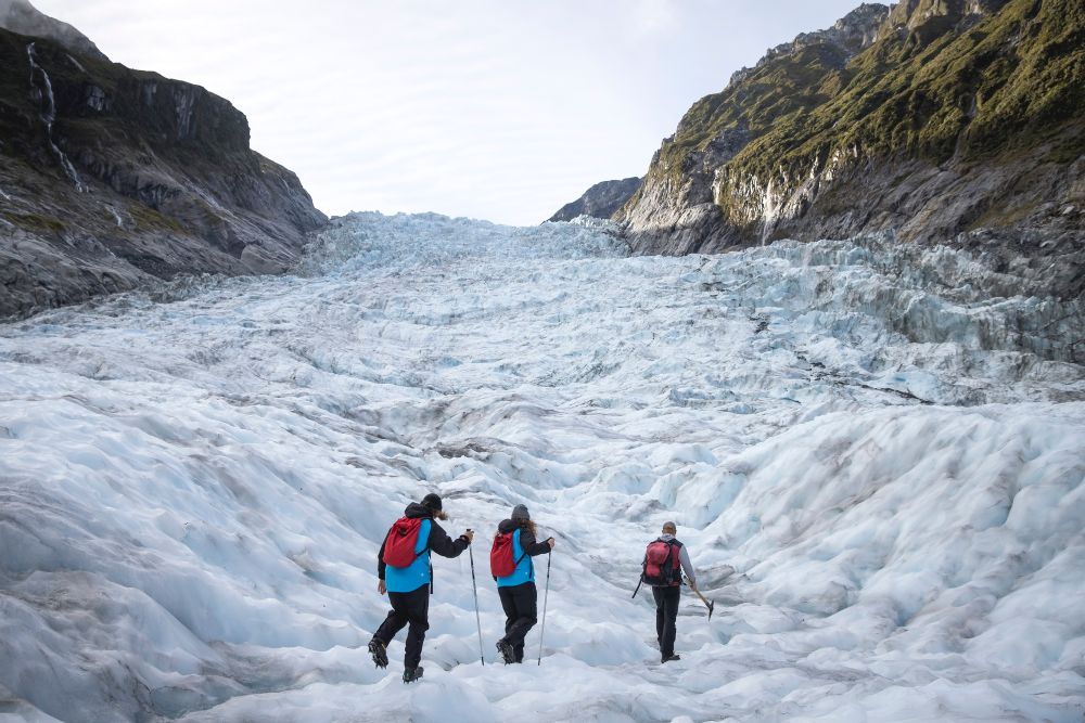 fox glacier